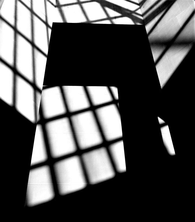 Digital B n W In Class A By John Garvin For Met Museum Natural Art MAR-2020.jpg